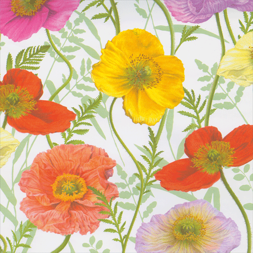 Poppy - roll wrap 30 inch x 8ft-2 inch core