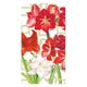 Amaryllis Conservatory - Guest Towel