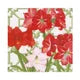 Amaryllis Conservatory - Napkin Luncheon