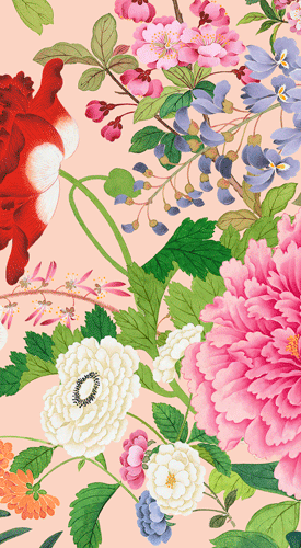 A profusion of flowers 2 shell pink - guest towel