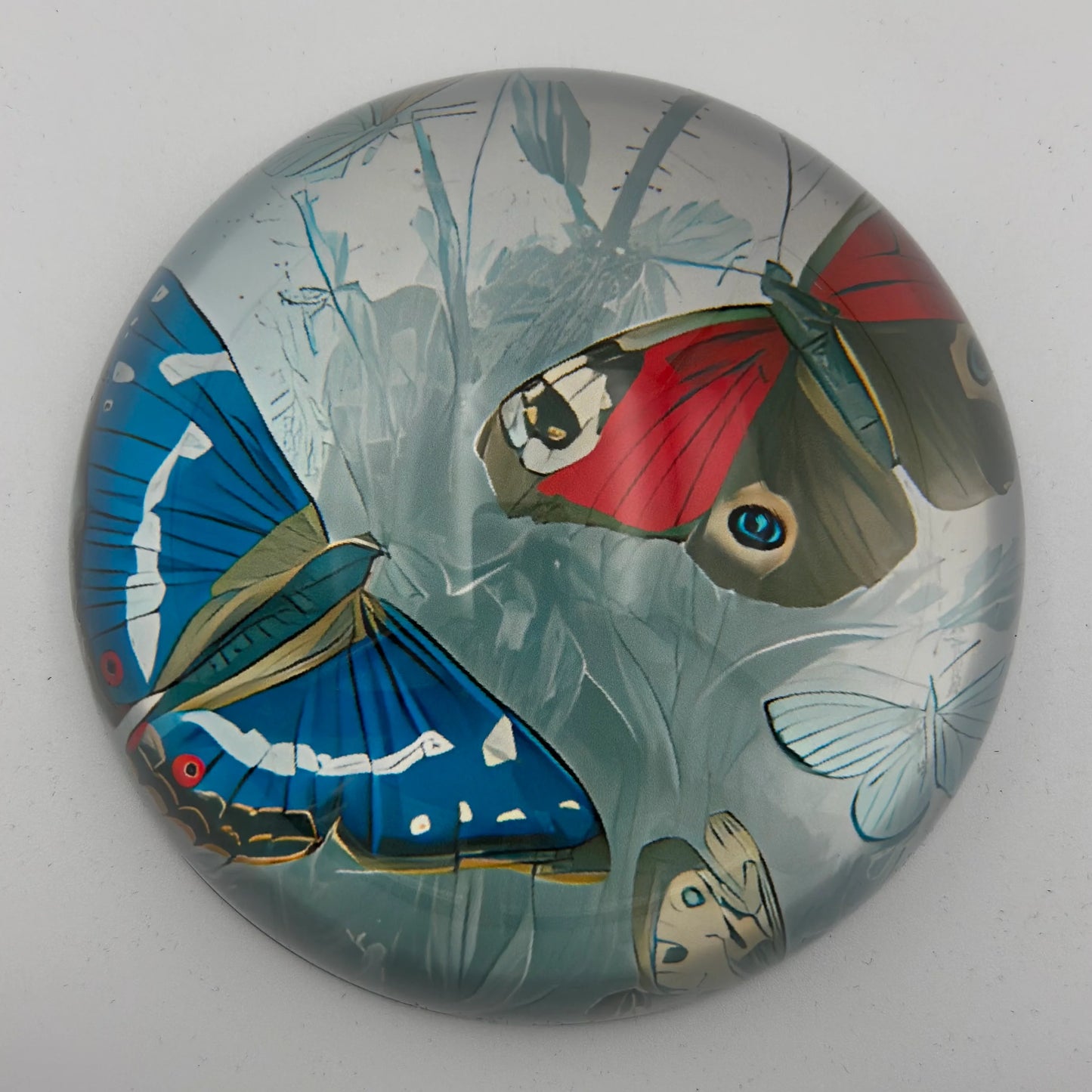 Blue and Red Butterfly paperweight