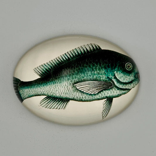 Blue Marine Fish paperweight