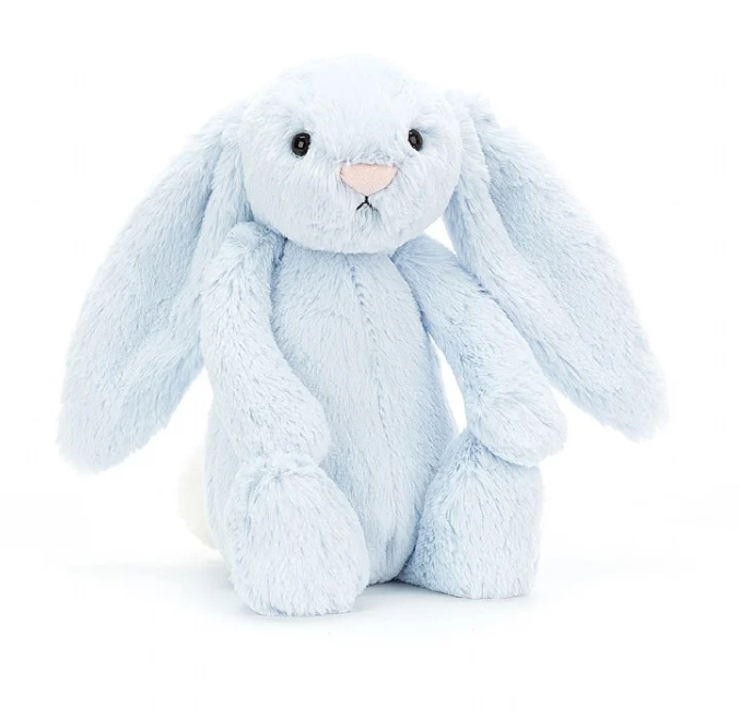 Bashful Beau Bunny