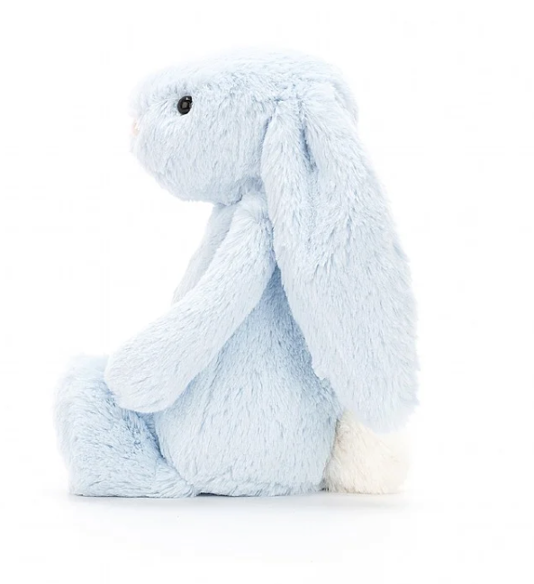 Bashful Beau Bunny