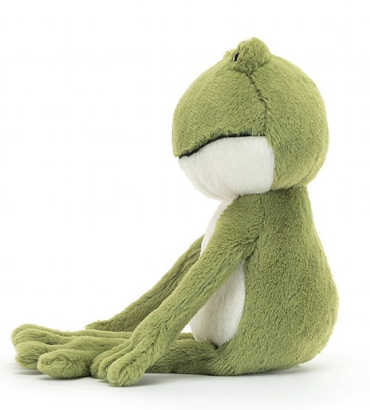 Finnegan Frog