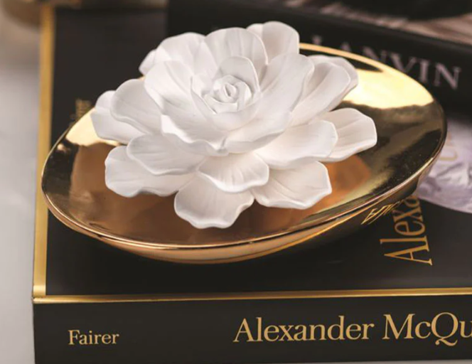 Dream White Rose Diffuser