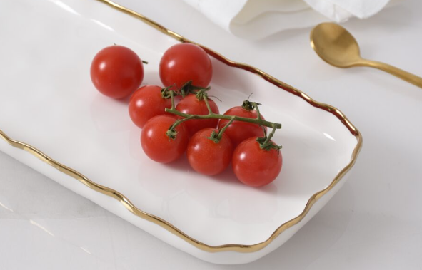 Portofino Small Rectangular Tray