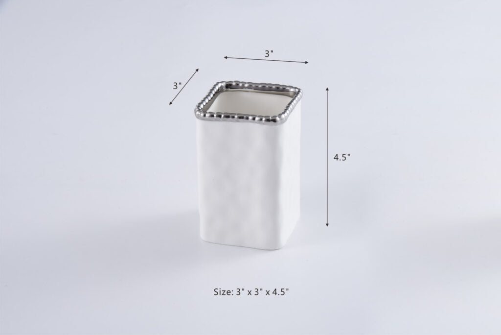 Toothbrush Holder w/ Silver Rim