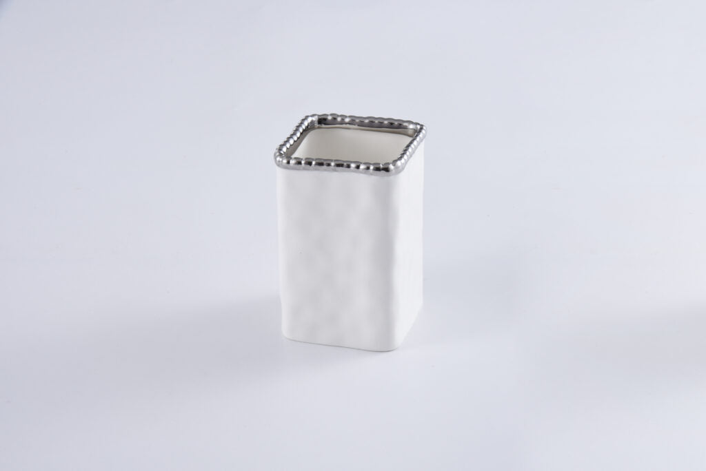 Toothbrush Holder w/ Silver Rim