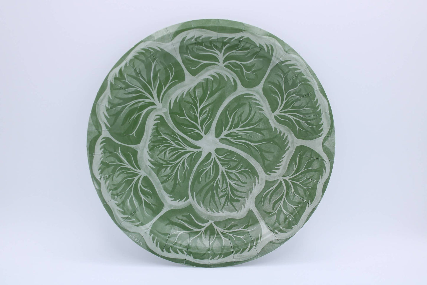 Melissa's Garden Cabbage Salad and Dessert Plates Pack of 8