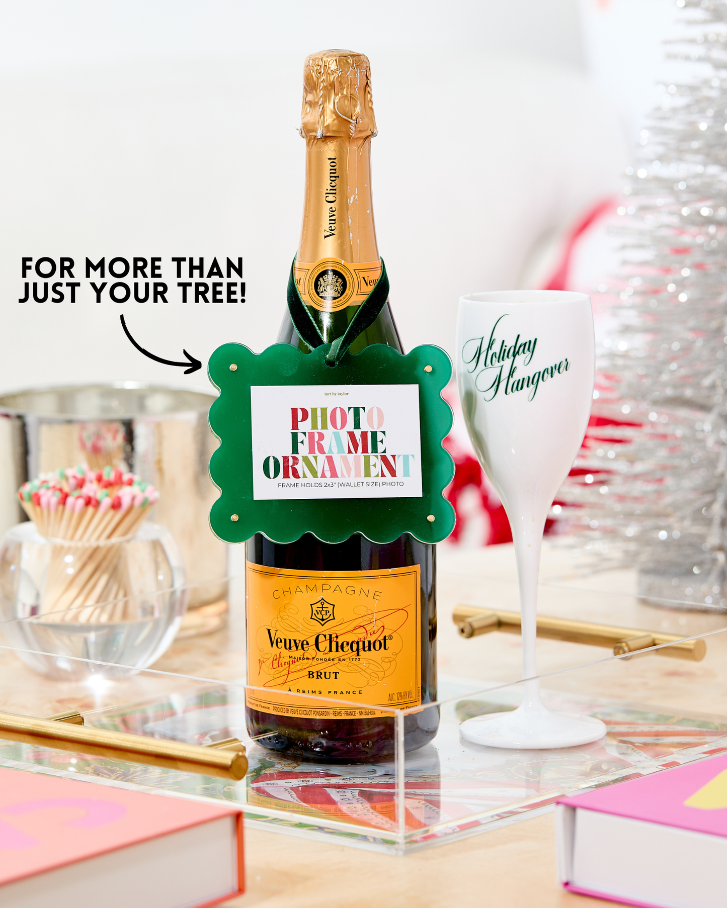 Kiwi Mini Frame Ornament