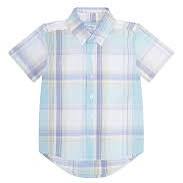 Spring Pima Cotton Button Down Shirt
