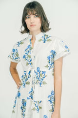 Magnolia Flutter - Vineyard