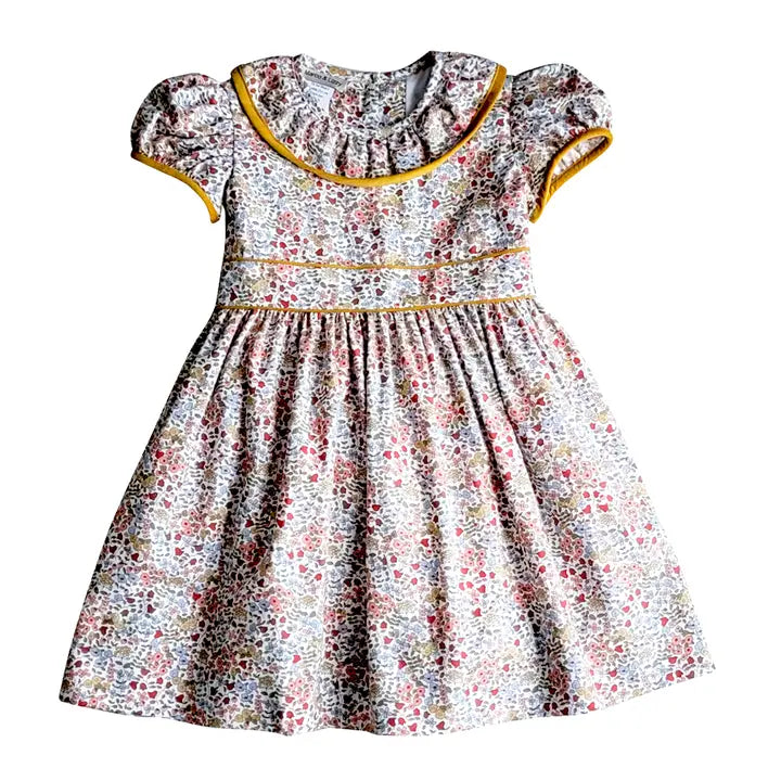 Celine Fall Floral Print Corduroy Dress