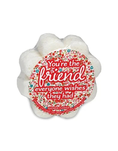 You're the Friend Daisy Soap Sponge