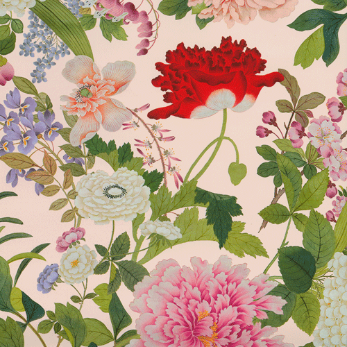 A Profusion Of Flowers Shell Pink Roll Wrap