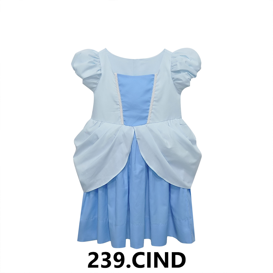 Cinderella Dress