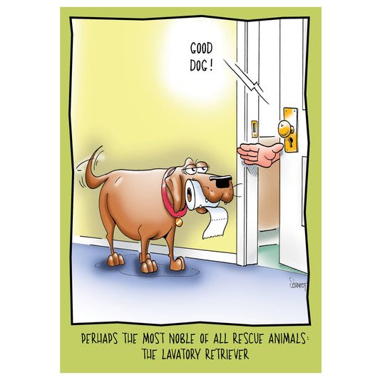 Lavatory Retriever Birthday Card