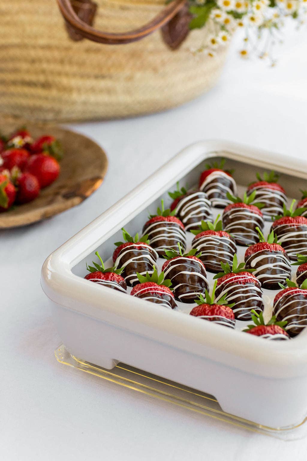 Fancy Panz® - Deviled Egg Tray Insert