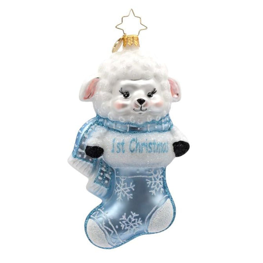 A Snowy Blue First Christmas