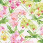 Orchid Conservatory Roll Wrap