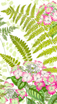 Fern Garden Napkins