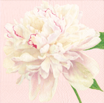 Duchess Peonies Blush Napkins