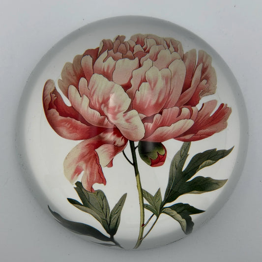 Peony paperweight
