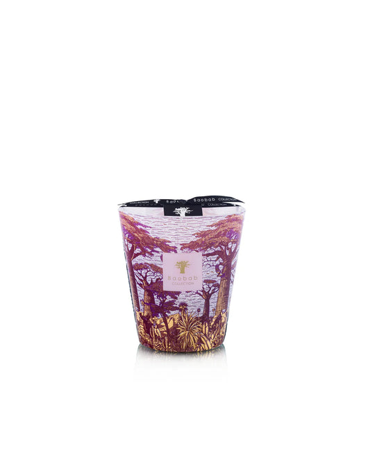 Candle Max 10 Sacred Trees Massasso