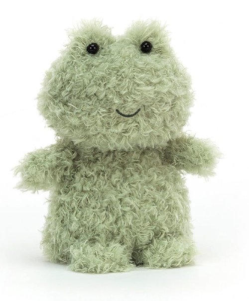 Little Frog