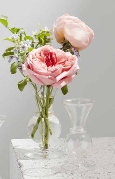 Queensland Budvase