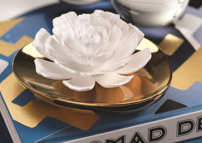 Dream Moroccan Peony Diffuser