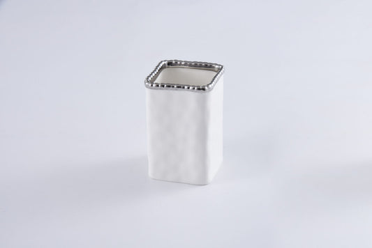 Toothbrush Holder w/ Silver Rim