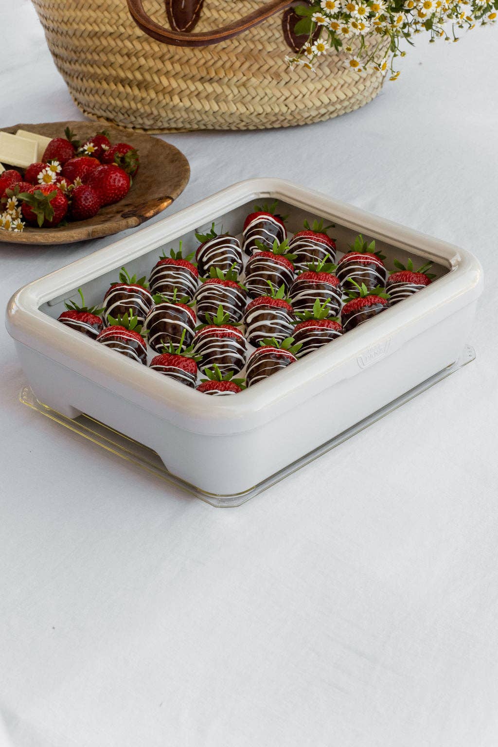 Fancy Panz® - Deviled Egg Tray Insert