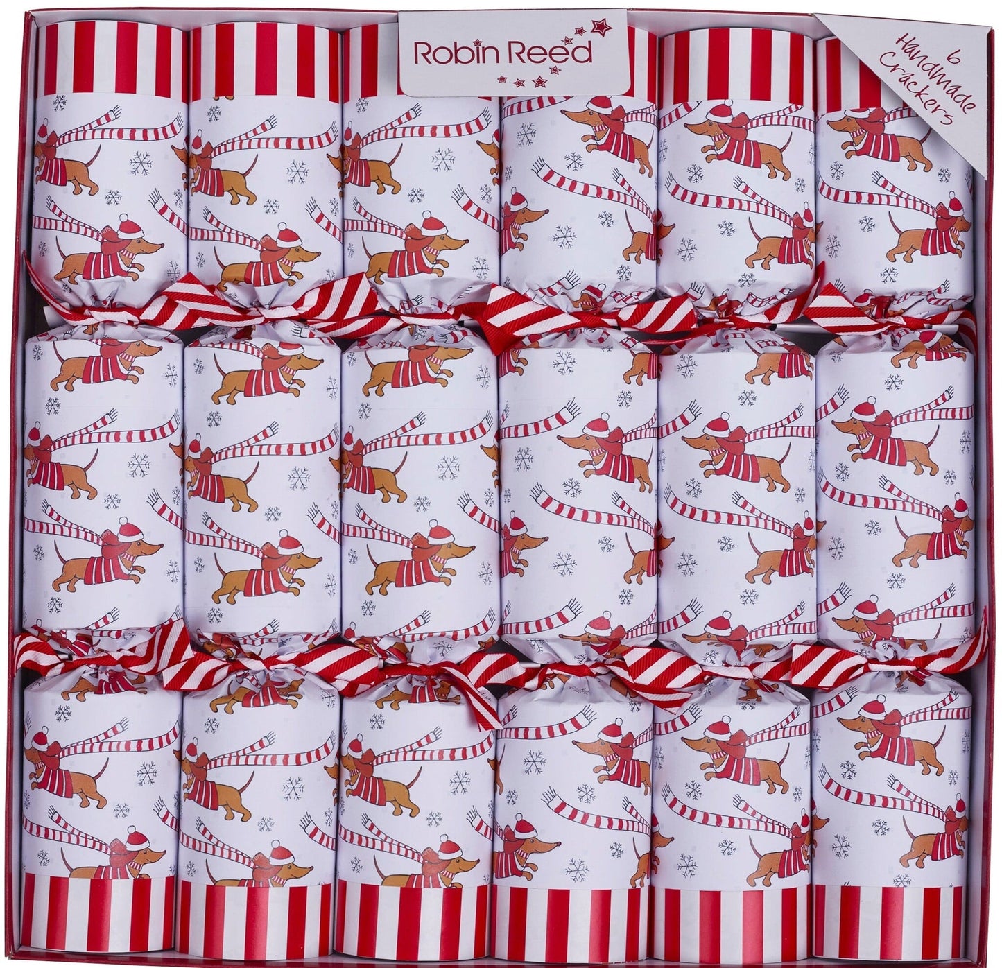 Racing Sausage Dog Party Crackers