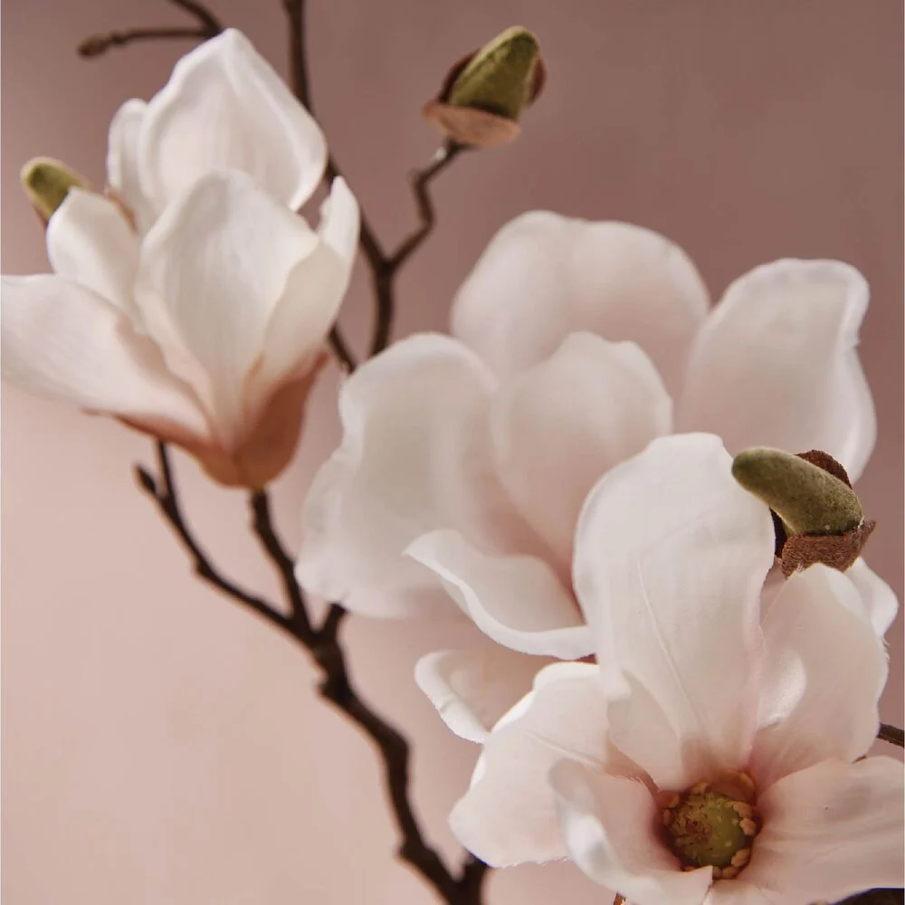Magnolia Willow All Purpose Cleaning Concentrate