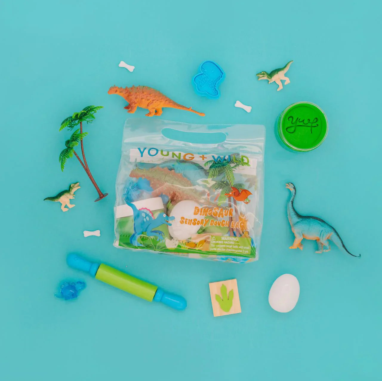 Sensory Dough Bag - Dinosaur