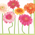 Blooming Daisy Napkin